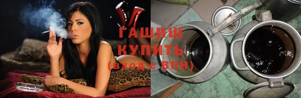 соль ск Инсар